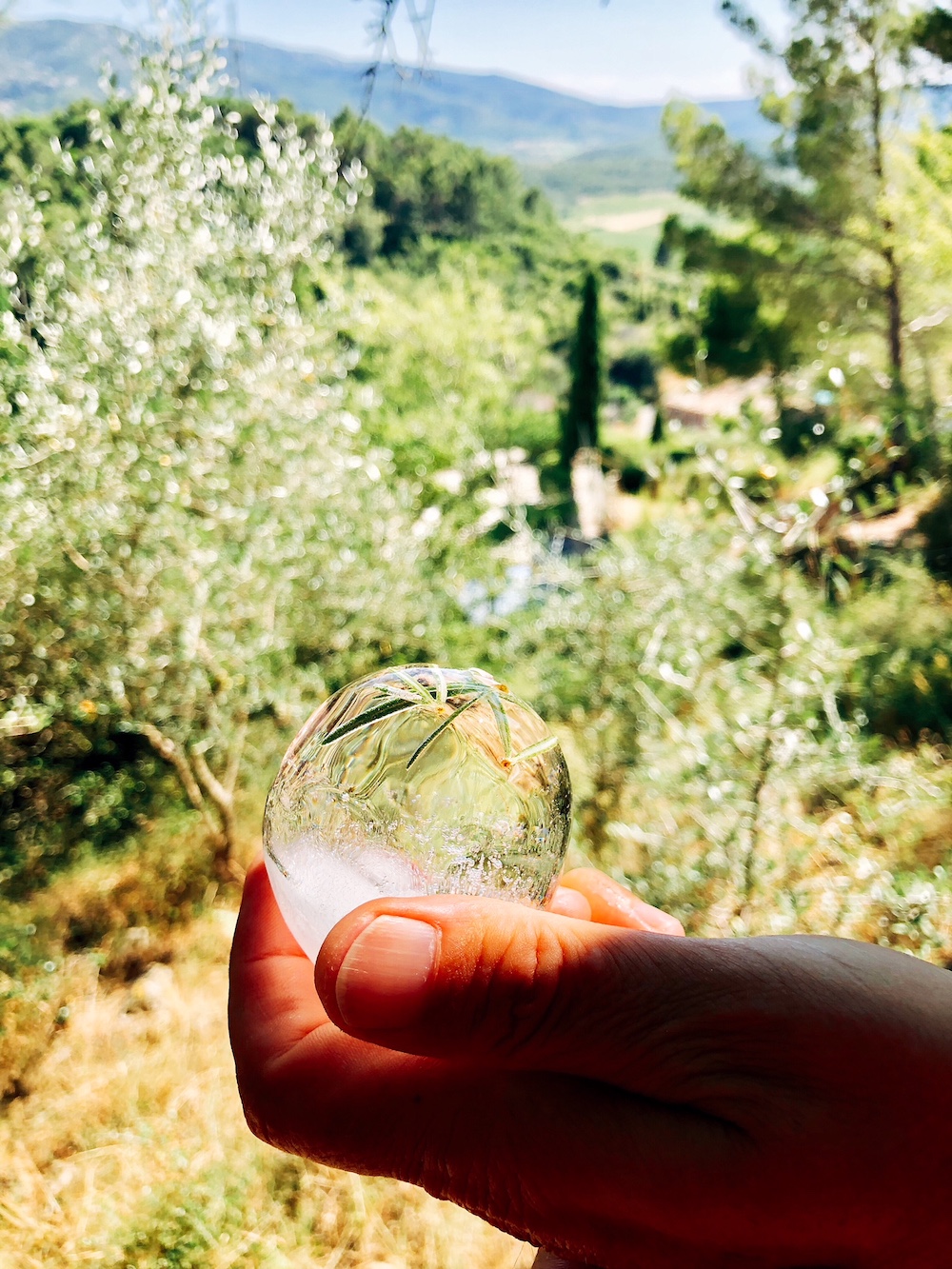 Les-Vins-du-Roussillon-Cocktail-Eis-Confiture-de-vivre